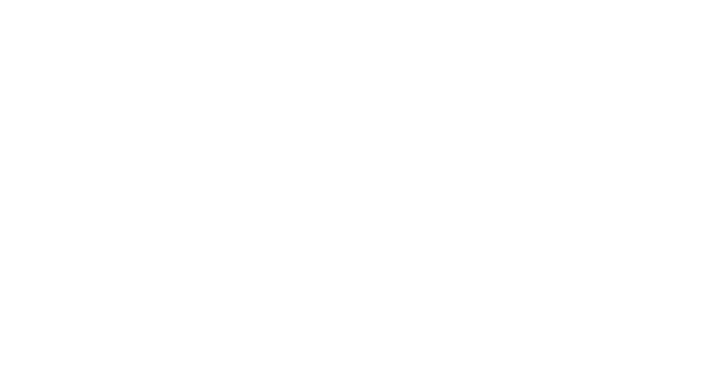 LNH_Logo_Transparent_WEB small copy